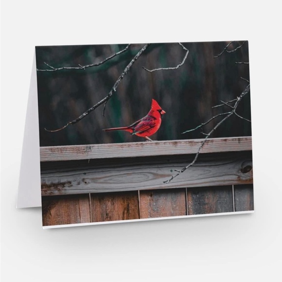 Other - Pack of 4 notecards with envelopes